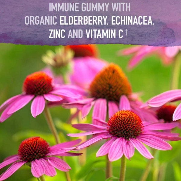 Garden Of Life Elderberry Immune Gummy Organic Sambucus Supplement